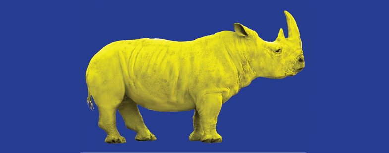 STAGES Dépassement de soi