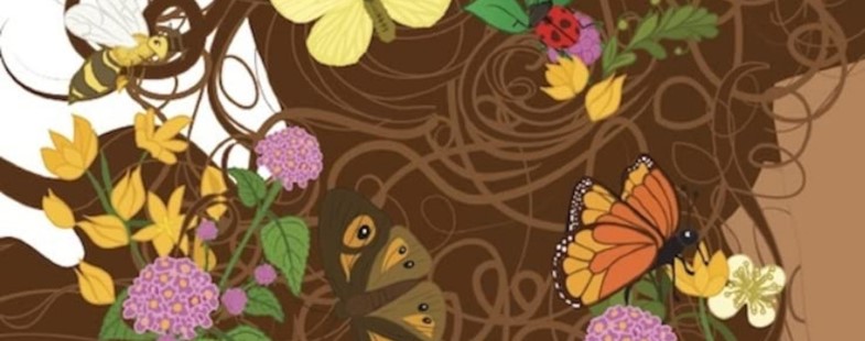 Papillons et petites bêtes du jardin