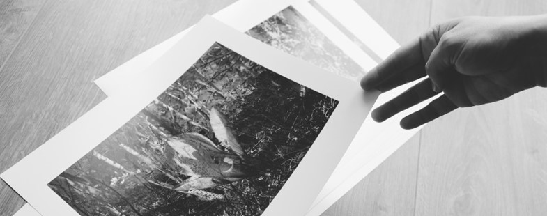 Photo Folio Review 13