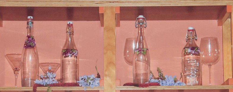 Dégustons l’importance de l’eau #3