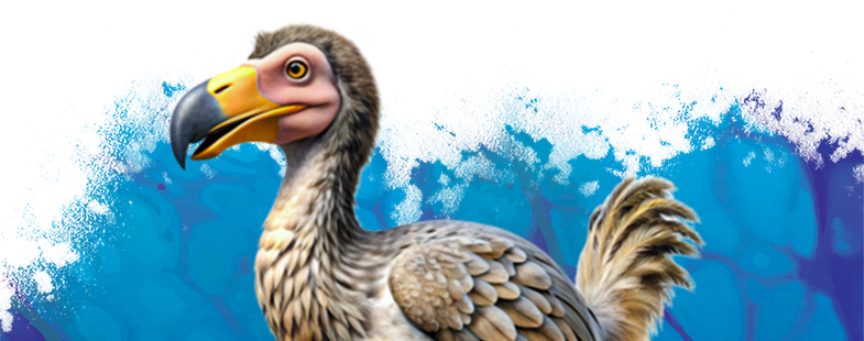 À la découverte du Dodo Numérique - Mardi 4 février