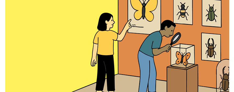 Ateliers autour des insectes